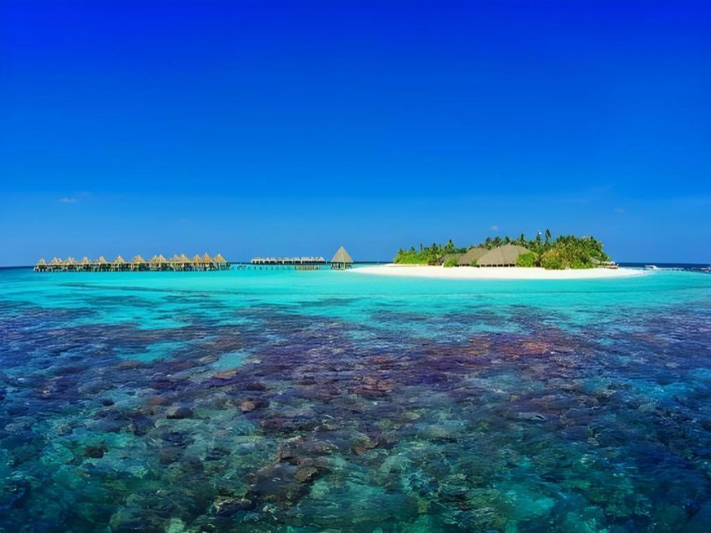 Angaga Island Resort And Spa Dış mekan fotoğraf